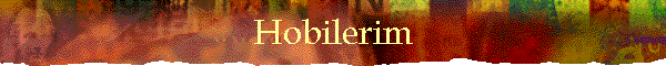 Hobilerim